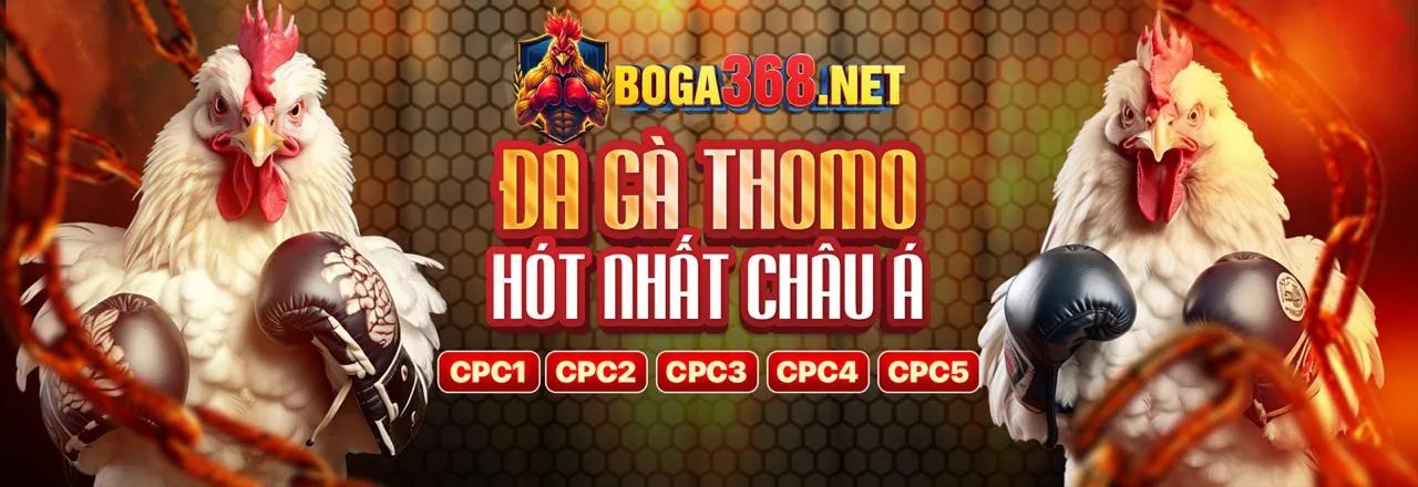 Sân đấu đá gà trực tuyến sôi động tại xn888 nổ hũ