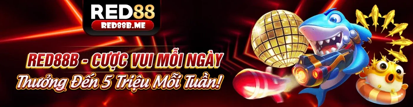 Sân vận động sôi động với cá cược thể thao xn888 nổ hũ